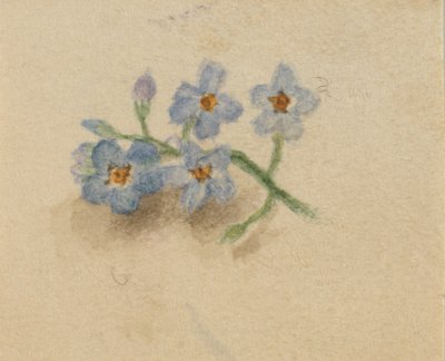 Nimetön, 1874. tekijältä Mary Vaux Walcott