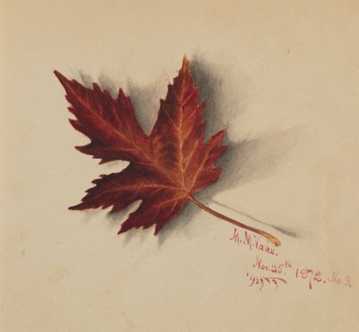 Nimetön syyslehti, 1872. tekijältä Mary Vaux Walcott