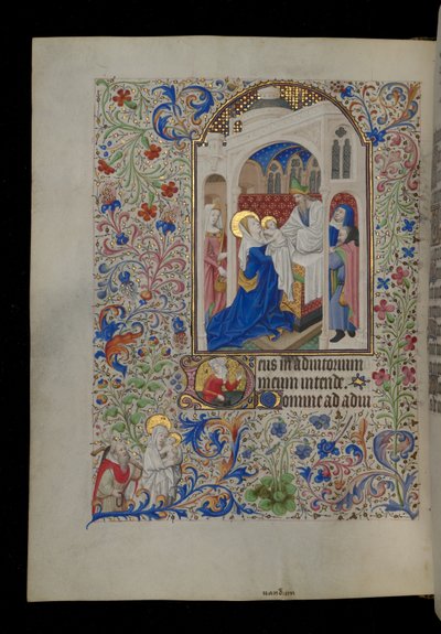 Esittely temppelissä tekijältä Master Dunois