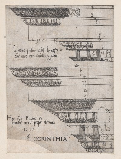 Rooman loiston peili: Korintin entablatuuri, 1537, 1537. tekijältä Master PS