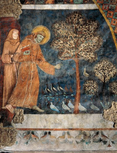 Saarnaaminen linnuille tekijältä Master of Saint Francis of Assisi