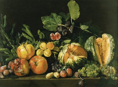 Granaattiomenia, melonit, viinirypäleet, persikat, viikunat ja muut hedelmät kivireunalla tekijältä Master of the Acquavella Still Life