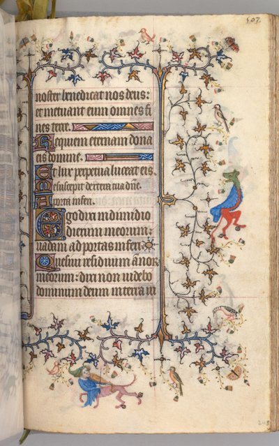 Kaarle Aatelisen, Navarran kuninkaan tunnit 1361-1425: fol. 246r, Teksti, c. 1405. tekijältä Master of the Brussels Initials and Associates