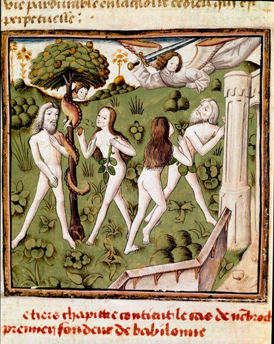 Aadam ja Eeva poimimassa naisten mestarin mestarin (1400-luku) puolustettua hedelmää Giovanni Boccaccion (Jean Boccaccio) (1313-1375) käsikirjoituksesta "" Des hommes illustres"". 15-luvulla. Carpentras. Inguimbertinen kirjasto tekijältä Master of the Champion des Dames