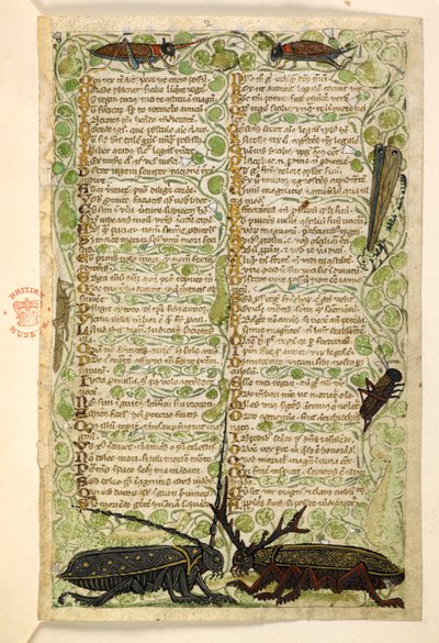 Lisätä. 28841, f.2: Sarvikuoriaiset, sirkat ja locus.  Tutkielma hyveistä ja paheista sekä Sisilian anonyymi proosahistoria (katkelma)  Cocharelli tekijältä Master of the Cocharelli Codex