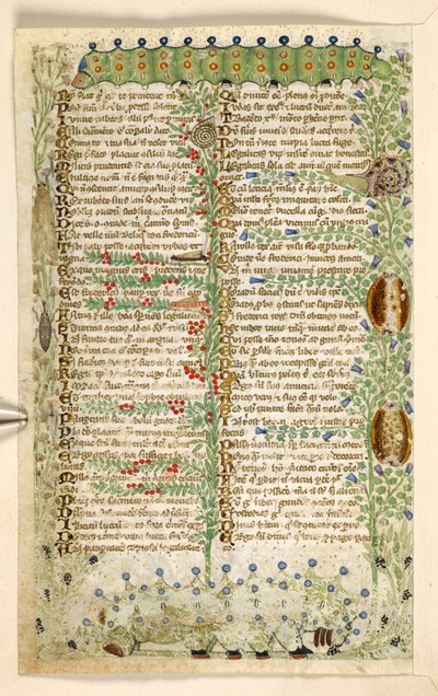 Lisätä. 28841, f.2v: Toukat, etanat ja muut hyönteiset Hyveitä ja paheita käsittelevästä traktaatista ja Sisilian nimettömästä proosahistoriasta (fragmentti), n. 1330-40 (vellum) tekijältä Master of the Cocharelli Codex