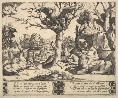 Feeniksi istui puun huipulla, siivet auki, lajitelma eläimiä alla, 1530-60. tekijältä Master of the Die