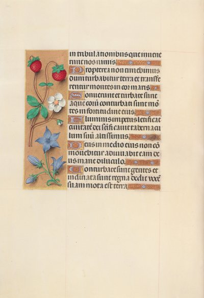 Kuningatar Isabella Katolisen, Espanjan kuningatar: Fol. 105v, c. 1500. tekijältä Master of the First Prayerbook of Maximillian