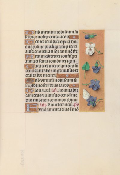 Kuningatar Isabella Katolisen, Espanjan kuningatar: Fol. 106r, c. 1500. tekijältä Master of the First Prayerbook of Maximillian