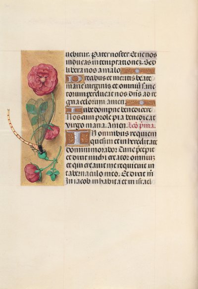 Kuningatar Isabella Katolisen, Espanjan kuningatar: Fol. 110v, c. 1500. tekijältä Master of the First Prayerbook of Maximillian