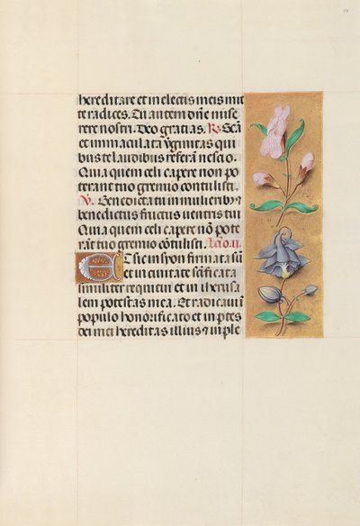 Kuningatar Isabella Katolisen, Espanjan kuningatar: Fol. 111r, c. 1500. tekijältä Master of the First Prayerbook of Maximillian