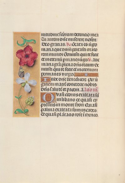Kuningatar Isabella Katolisen, Espanjan kuningatar: Fol. 111v, c. 1500. tekijältä Master of the First Prayerbook of Maximillian