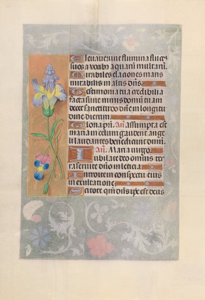 Kuningatar Isabella Katolisen, Espanjan kuningatar: Fol. 116v, c. 1500. tekijältä Master of the First Prayerbook of Maximillian