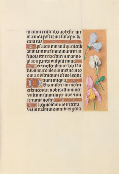 Kuningatar Isabella Katolisen, Espanjan kuningatar: Fol. 118r, c. 1500. tekijältä Master of the First Prayerbook of Maximillian