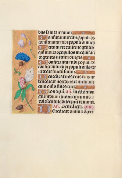 Kuningatar Isabella Katolisen, Espanjan kuningatar: Fol. 118v, c. 1500. tekijältä Master of the First Prayerbook of Maximillian