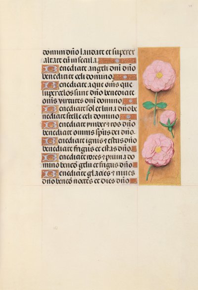 Kuningatar Isabella Katolisen, Espanjan kuningatar: Fol. 119r, c. 1500. tekijältä Master of the First Prayerbook of Maximillian