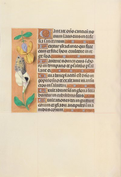 Kuningatar Isabella Katolisen, Espanjan kuningatar: Fol. 121v, c. 1500. tekijältä Master of the First Prayerbook of Maximillian