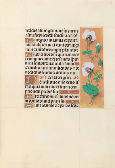 Kuningatar Isabella Katolisen, Espanjan kuningatar: Fol. 123r, c. 1500. tekijältä Master of the First Prayerbook of Maximillian