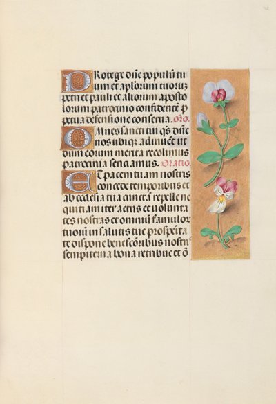 Kuningatar Isabella Katolisen, Espanjan kuningatar: Fol. 125r, c. 1500. tekijältä Master of the First Prayerbook of Maximillian