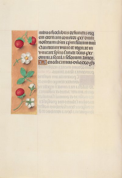 Kuningatar Isabella Katolisen, Espanjan kuningatar: Fol. 125v, c. 1500. tekijältä Master of the First Prayerbook of Maximillian