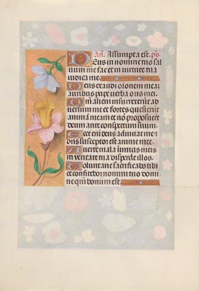 Kuningatar Isabella Katolisen, Espanjan kuningatar: Fol. 127v, c. 1500. tekijältä Master of the First Prayerbook of Maximillian