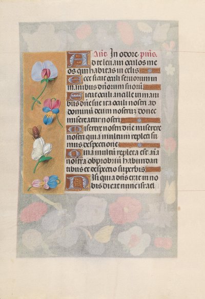 Kuningatar Isabella Katolisen, Espanjan kuningatar: Fol. 137v, c. 1500. tekijältä Master of the First Prayerbook of Maximillian