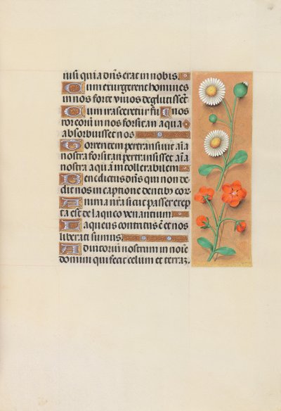 Kuningatar Isabella Katolisen, Espanjan kuningatar: Fol. 138r, c. 1500. tekijältä Master of the First Prayerbook of Maximillian