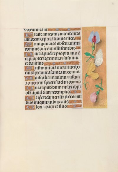 Kuningatar Isabella Katolisen, Espanjan kuningatar: Fol. 156r, c. 1500. tekijältä Master of the First Prayerbook of Maximillian