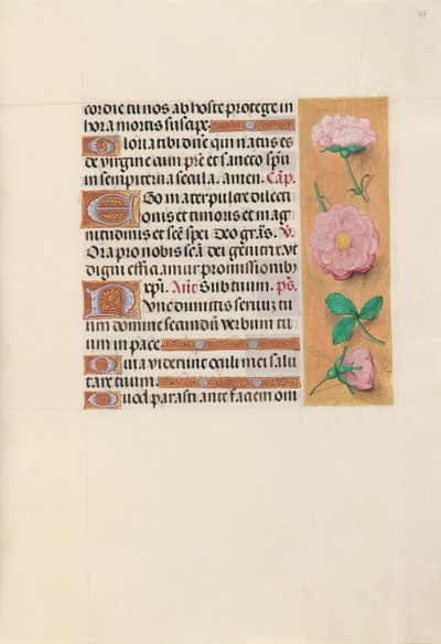 Kuningatar Isabella Katolisen, Espanjan kuningatar: Fol. 157r, c. 1500. tekijältä Master of the First Prayerbook of Maximillian