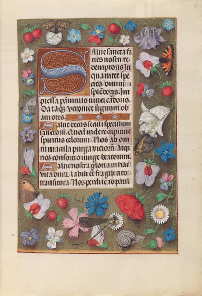 Kuningatar Isabella Katolisen, Espanjan kuningatar: Fol. 15r, c. 1500. tekijältä Master of the First Prayerbook of Maximillian
