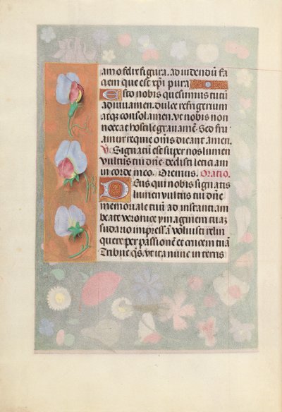 Kuningatar Isabella Katolisen, Espanjan kuningatar: Fol. 15v, c. 1500. tekijältä Master of the First Prayerbook of Maximillian