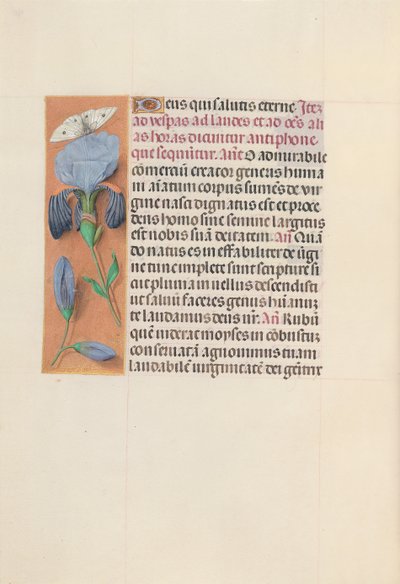 Kuningatar Isabella Katolisen, Espanjan kuningatar: Fol. 165v, c. 1500. tekijältä Master of the First Prayerbook of Maximillian