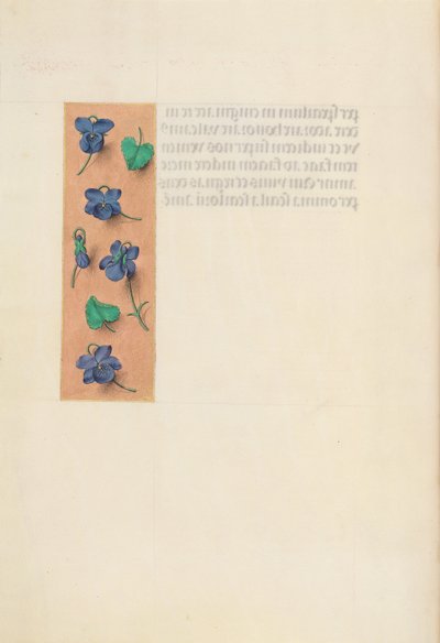 Kuningatar Isabella Katolisen, Espanjan kuningatar: Fol. 16v, Short Border, c. 1500. tekijältä Master of the First Prayerbook of Maximillian