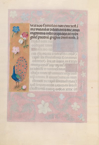 Kuningatar Isabella Katolisen, Espanjan kuningatar: Fol. 180v, c. 1500. tekijältä Master of the First Prayerbook of Maximillian