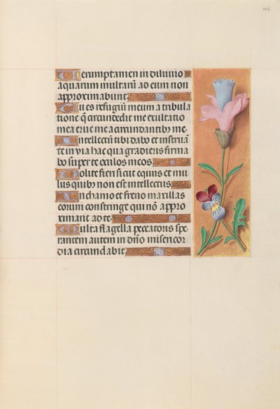 Kuningatar Isabella Katolisen, Espanjan kuningatar: Fol. 202r, c. 1500. tekijältä Master of the First Prayerbook of Maximillian
