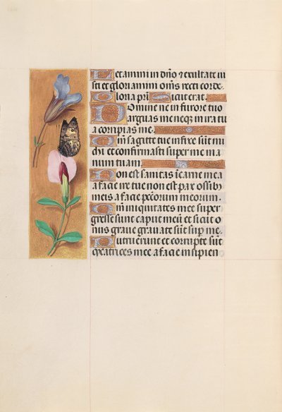 Kuningatar Isabella Katolisen, Espanjan kuningatar: Fol. 202v, c. 1500. tekijältä Master of the First Prayerbook of Maximillian