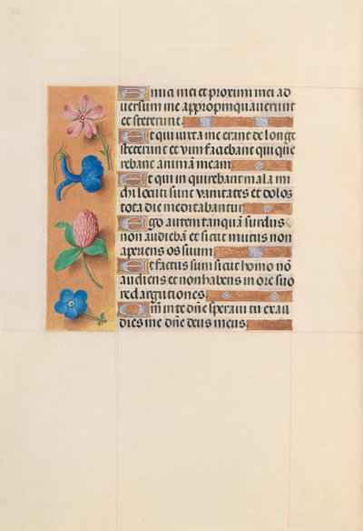 Kuningatar Isabella Katolisen, Espanjan kuningatar: Fol. 203v, c. 1500. tekijältä Master of the First Prayerbook of Maximillian