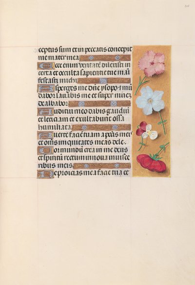 Kuningatar Isabella Katolisen, Espanjan kuningatar: Fol. 205r, c. 1500. tekijältä Master of the First Prayerbook of Maximillian