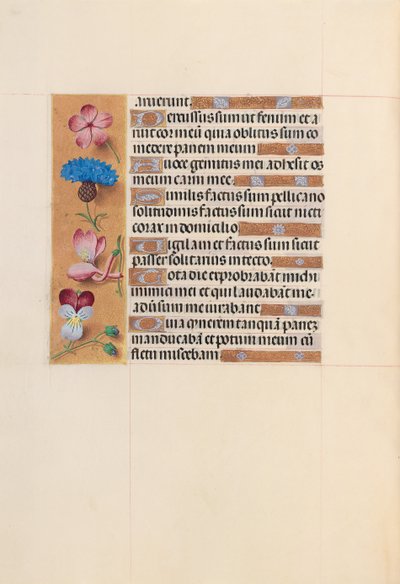 Kuningatar Isabella Katolisen, Espanjan kuningatar: Fol. 206v, c. 1500. tekijältä Master of the First Prayerbook of Maximillian