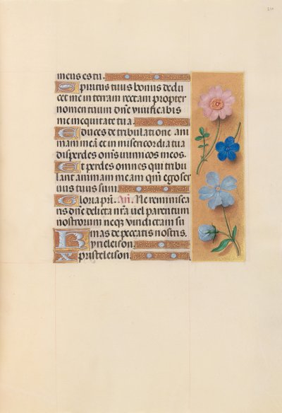 Kuningatar Isabella Katolisen, Espanjan kuningatar: Fol. 210r, c. 1500. tekijältä Master of the First Prayerbook of Maximillian