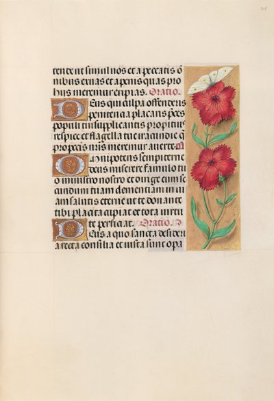 Kuningatar Isabella Katolisen, Espanjan kuningatar: Fol. 217r, c. 1500. tekijältä Master of the First Prayerbook of Maximillian