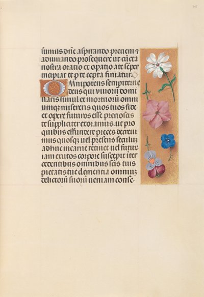 Kuningatar Isabella Katolisen, Espanjan kuningatar: Fol. 218r, c. 1500. tekijältä Master of the First Prayerbook of Maximillian
