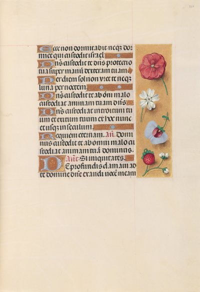 Kuningatar Isabella Katolisen, Espanjan kuningatar: Fol. 222r, c. 1500. tekijältä Master of the First Prayerbook of Maximillian