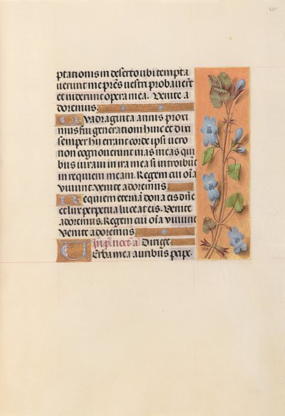Kuningatar Isabella Katolisen, Espanjan kuningatar: Fol. 227r, c. 1500. tekijältä Master of the First Prayerbook of Maximillian