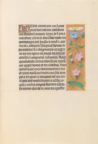 Espanjan kuningattaren Isabella katolisen tunteja:  Fol. 232r tekijältä Master of the First Prayerbook of Maximillian