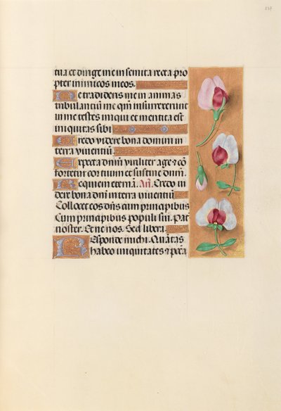 Kuningatar Isabella Katolisen, Espanjan kuningatar: Fol. 237r, c. 1500. tekijältä Master of the First Prayerbook of Maximillian