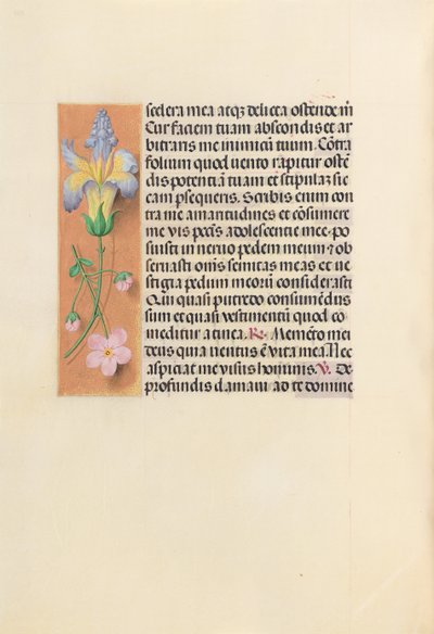 Kuningatar Isabella Katolisen, Espanjan kuningatar: Fol. 237v, c. 1500. tekijältä Master of the First Prayerbook of Maximillian