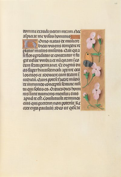 Kuningatar Isabella Katolisen, Espanjan kuningatar: Fol. 238r, c. 1500. tekijältä Master of the First Prayerbook of Maximillian