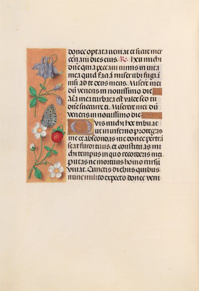 Kuningatar Isabella Katolisen, Espanjan kuningatar: Fol. 238v, c. 1500. tekijältä Master of the First Prayerbook of Maximillian