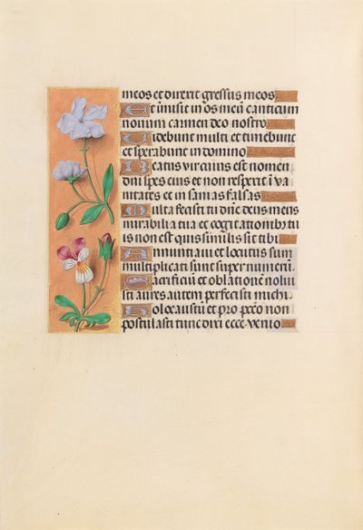 Kuningatar Isabella Katolisen, Espanjan kuningatar: Fol. 239v, c. 1500. tekijältä Master of the First Prayerbook of Maximillian